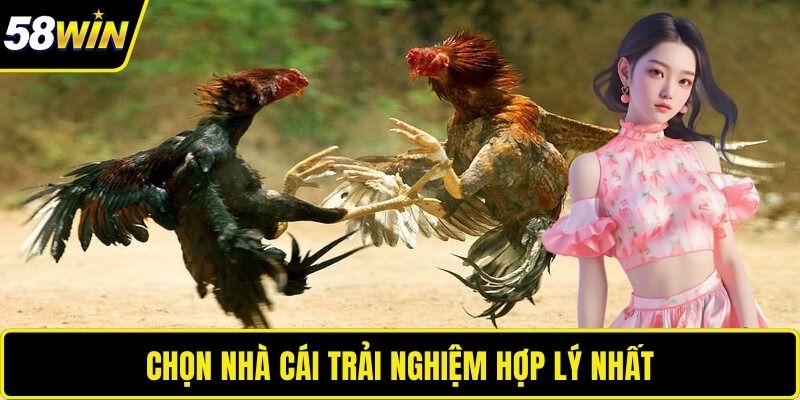 Chọn nhà cái trải nghiệm hợp lý nhất 