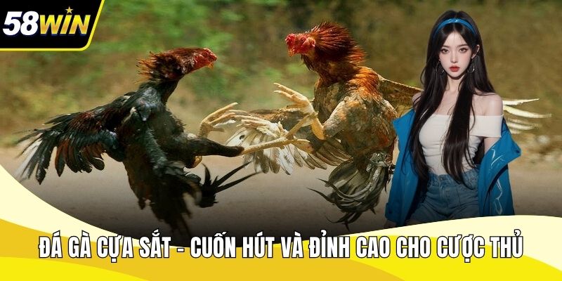 Đá Gà Cựa Sắt