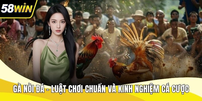 Gà nòi đá