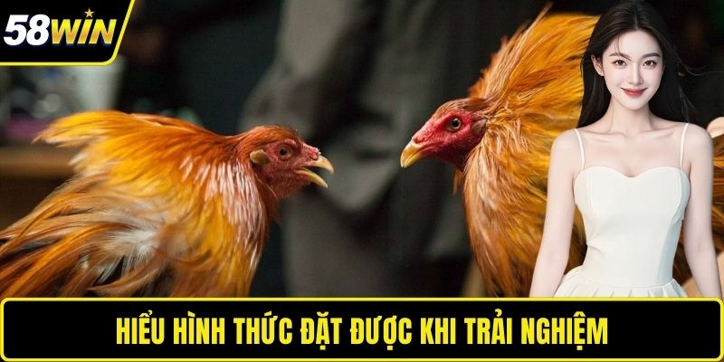 Hiểu hình thức đặt được khi trải nghiệm 