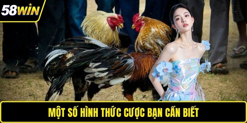 Một số hình thức cược bạn cần biết 