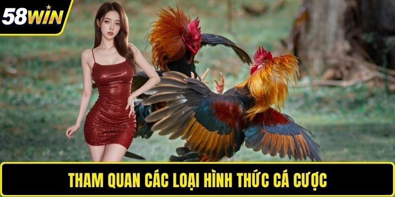 Tham quan các loại hình thức cá cược 