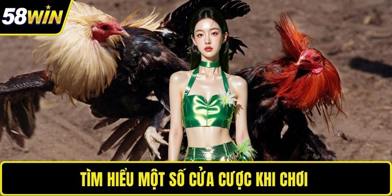 Tìm hiểu một số cửa cược khi chơi 