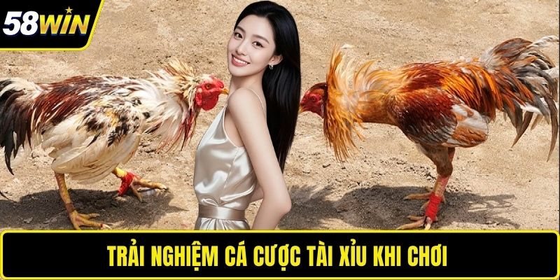 Trải nghiệm đá gà 58WIN hấp dẫn nhất 
