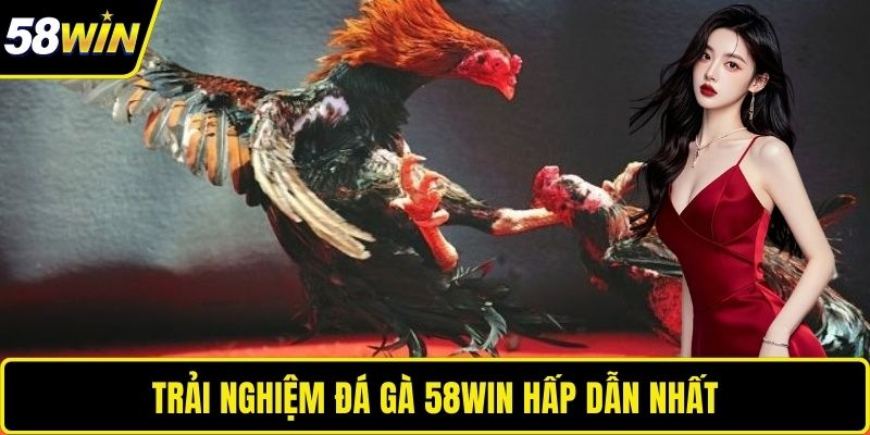 Trải nghiệm cá cược tài xỉu khi chơi 