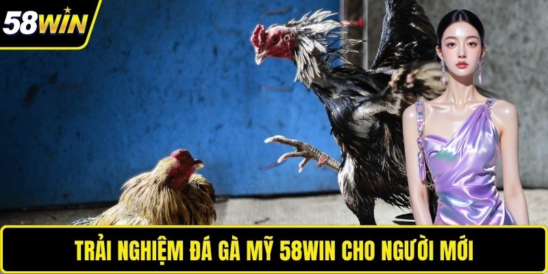Trải nghiệm đá gà Mỹ 58WIN cho người mới 