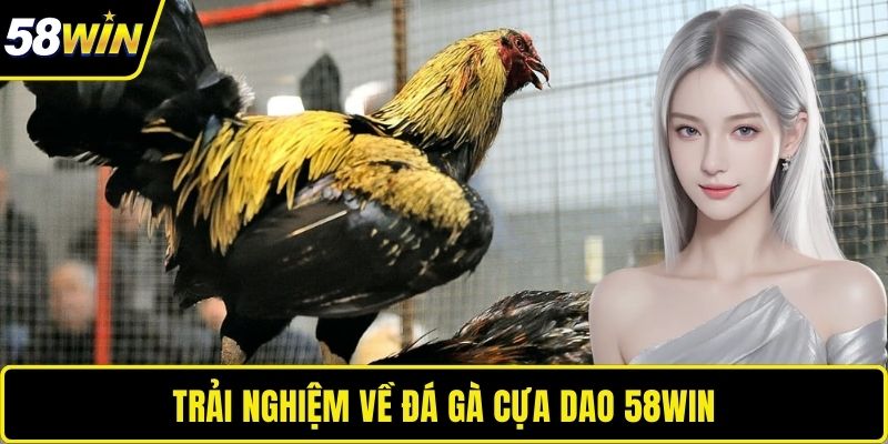 Trải nghiệm về đá gà cựa dao 58WIN